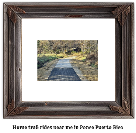 horse trail rides near me in Ponce, Puerto Rico